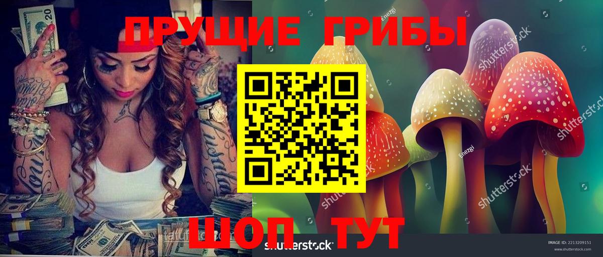 Галлюциногенные грибы Cubensis  Вход с VPN  Богородск  Галлюциногенные грибы Magic Shrooms 